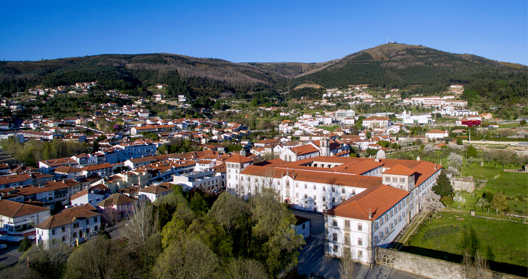 Resultado de imagem para Arouca