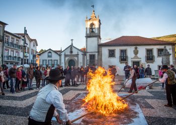 Festival da Castanha