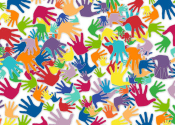 Regulamento de Banco Local de Voluntariado