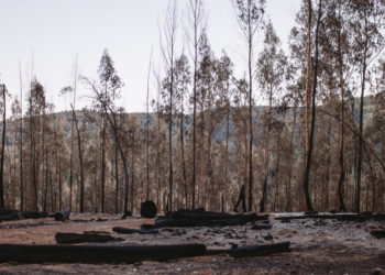 Período Crítico de Incêndio