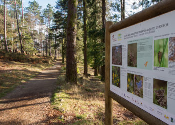 Expedição científica no Arouca Geopark - EBio do Merujal