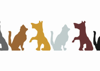 Proposta de Regulamento de Apoio à Esterilização de Canídeos e Gatídeos