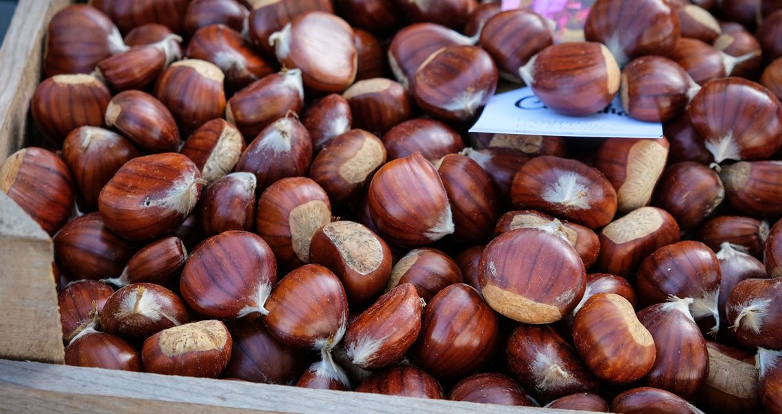 Concurso da Melhor Castanha