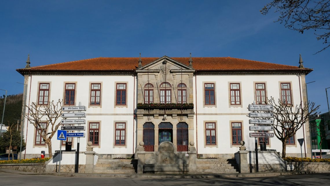 Abertas as candidaturas para Técnico Superior – Engenharia em Ciências Florestais