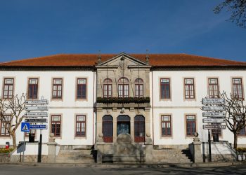 Abertas as candidaturas para Técnico Superior – Engenharia em Ciências Florestais