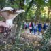 Vamos apanhar cogumelos no Festival da Castanha 2019