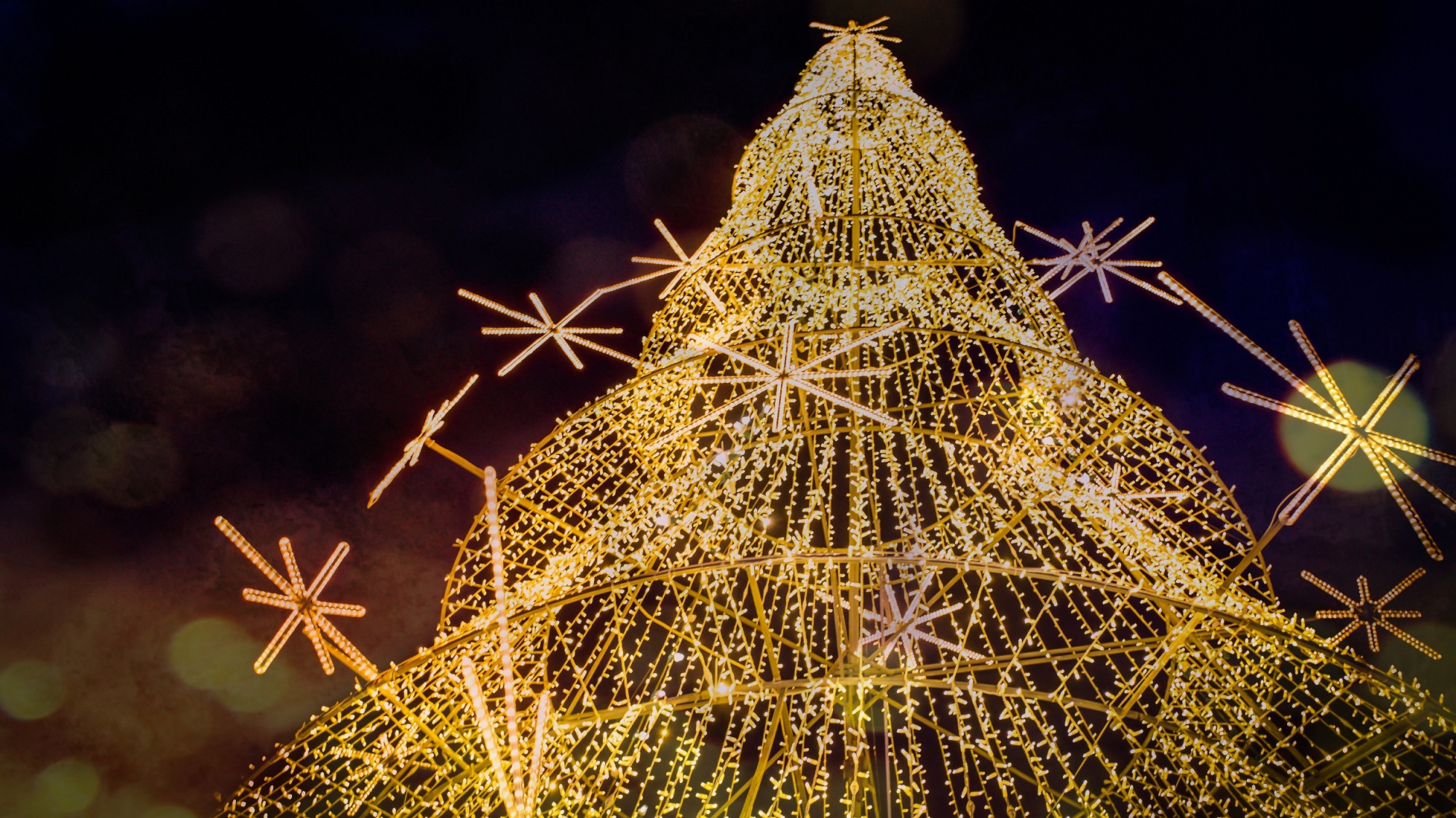 Luzes de Natal acendem a 26 de novembro em Arouca – Câmara Municipal de  Arouca