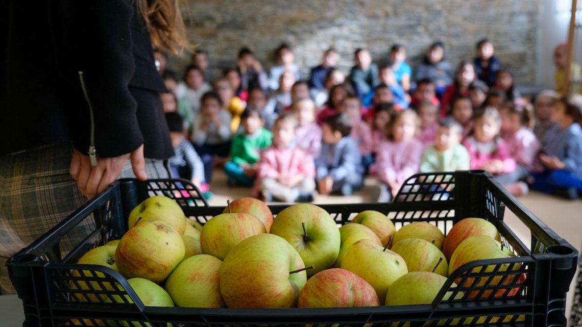 Projeto municipal de nutrição “Fruta nas Escolas” alargado às escolas de Canelas e de Alvarenga