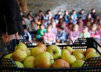 Projeto municipal de nutrição “Fruta nas Escolas” alargado às escolas de Canelas e de Alvarenga