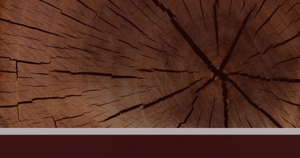 AGA e Câmara Municipal promovem concurso para valorizar artesanato local