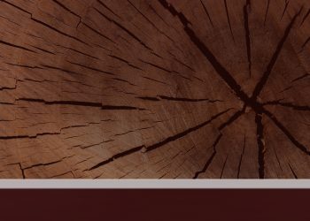 AGA e Câmara Municipal promovem concurso para valorizar artesanato local