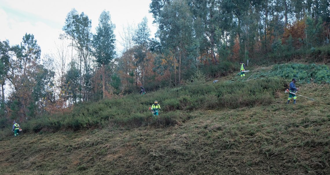 Operações de limpeza da floresta com prazo prorrogado até 30 de abril