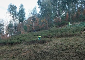 Operações de limpeza da floresta com prazo prorrogado até 30 de abril