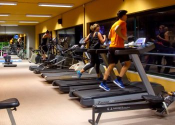 COVID-19 | Ginásios dos complexos desportivos de Arouca e de Escariz reabrem a 3 de junho