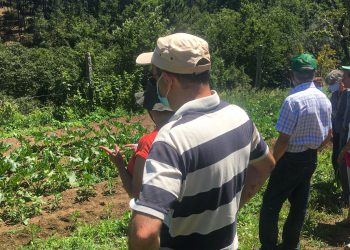 Arouca Agrícola incentiva a melhores práticas agrícolas em prol do meio ambiente