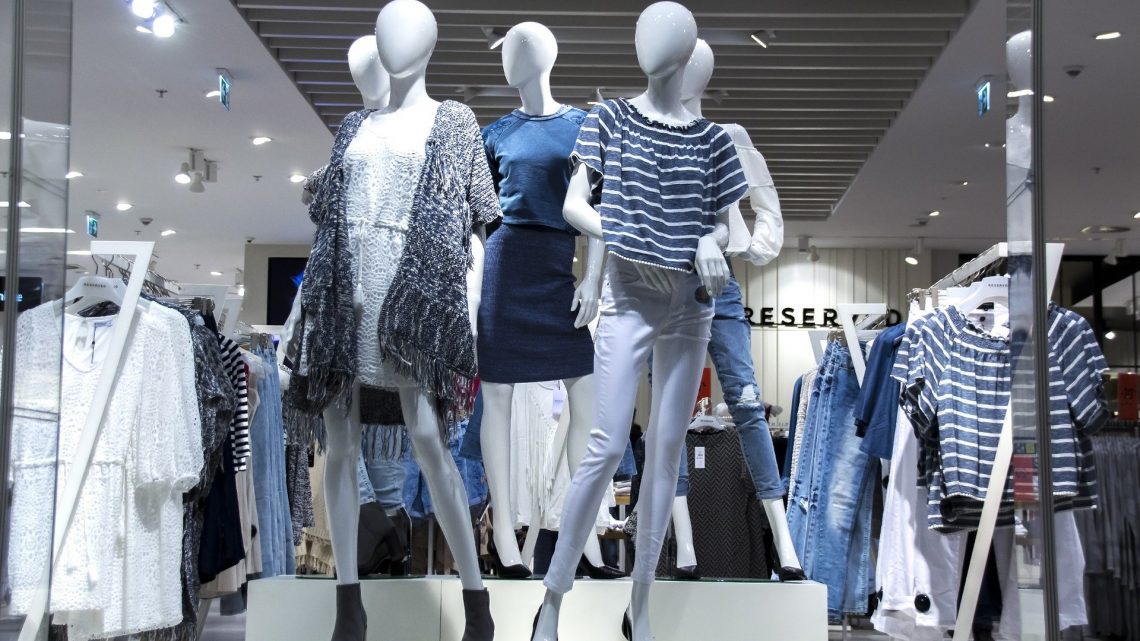 Município de Arouca e Cearte promovem ação de formação sobre vitrinismo