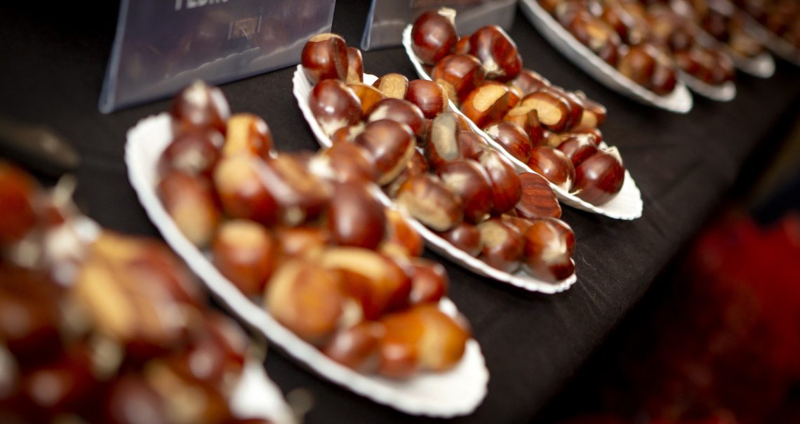 Município de Arouca promove concursos para eleger melhor mel e melhor castanha