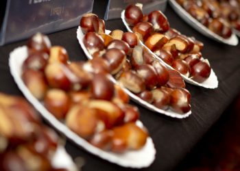 Município de Arouca promove concursos para eleger melhor mel e melhor castanha