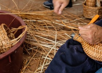 Inscrições abertas para curso de cestaria em vime dirigido a empregados e desempregados