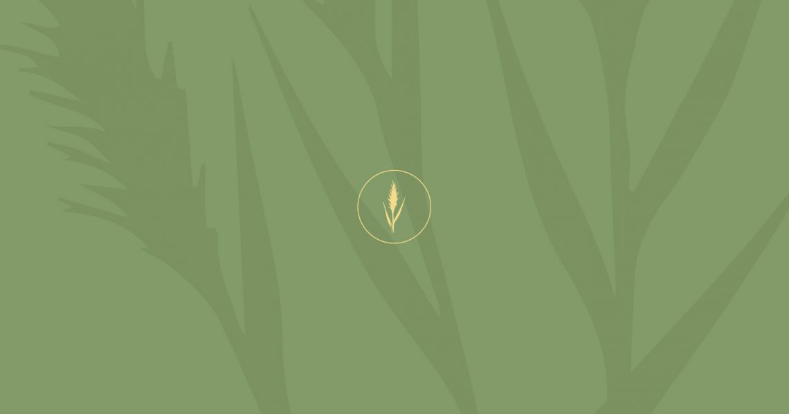 Arouca Geopark associa-se à Semana Nacional sobre Espécies Invasoras