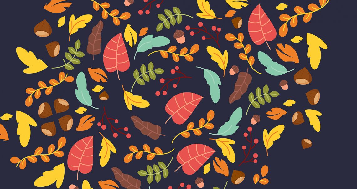 Município de Arouca promove concurso de montras “Tonalidades de outono” para dinamizar comércio local