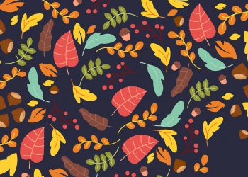 Município de Arouca promove concurso de montras “Tonalidades de outono” para dinamizar comércio local