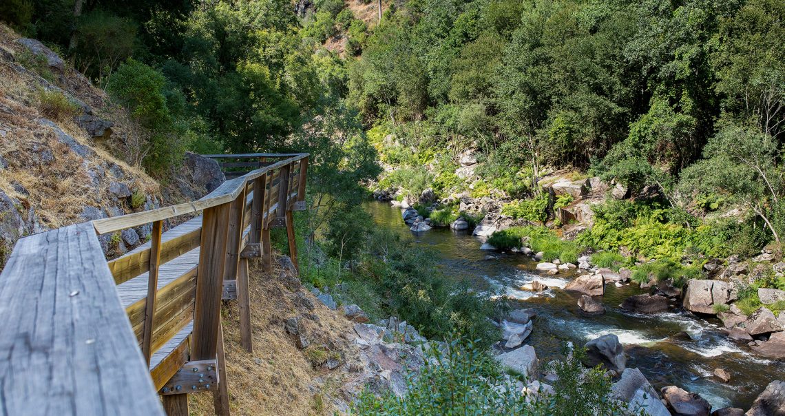 Passadiços do Paiva nomeados na categoria Melhor Atração de Turismo de Aventura do Mundo nos World Travel Awards