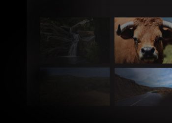 Arouca, a natureza e a Freita em exposição de fotografia na Biblioteca Municipal