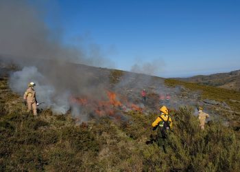 Equipas de fogo controlado executam queimadas extensivas para renovação de pastagens e prevenção de incêndios na Serra da Freita