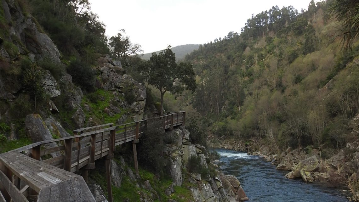 Arouca assinala Dia da Biodiversidade com entrega dos primeiros certificados dos Serviços dos Ecossistemas FSC®