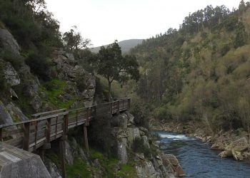 Arouca assinala Dia da Biodiversidade com entrega dos primeiros certificados dos Serviços dos Ecossistemas FSC®