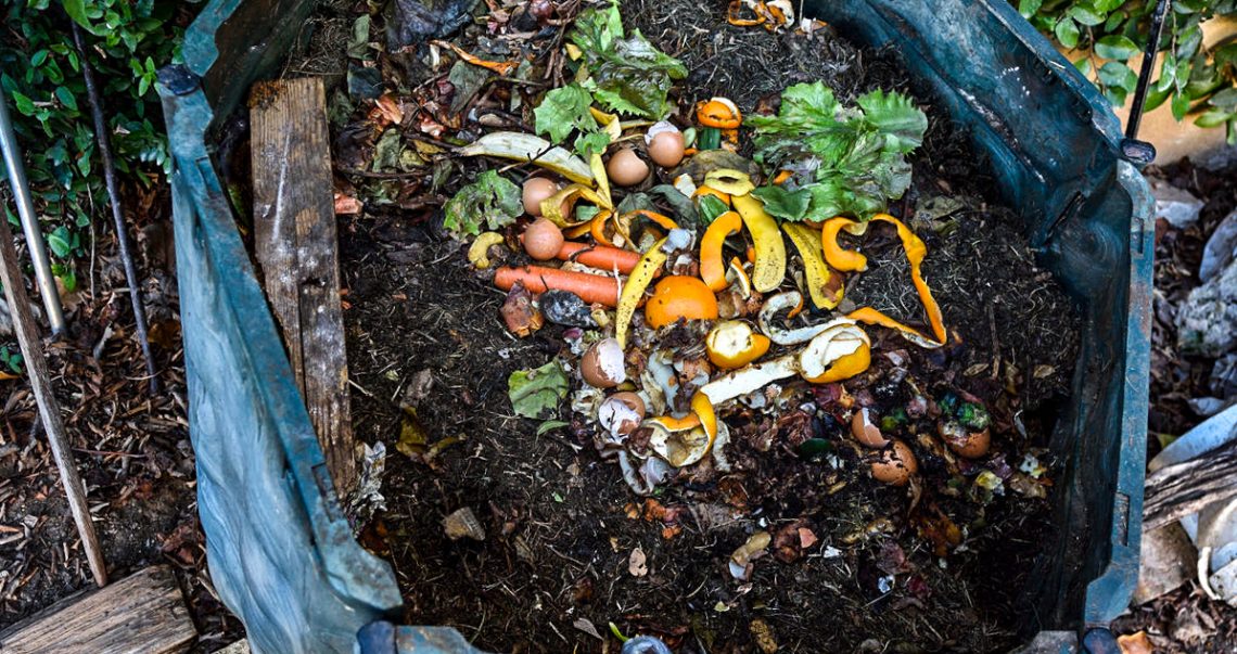 Câmara apresenta estudo para o desenvolvimento da recolha de biorresíduos em Arouca