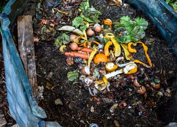 Câmara apresenta estudo para o desenvolvimento da recolha de biorresíduos em Arouca