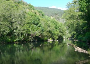 Comunicado: alegados focos de poluição no rio Paiva