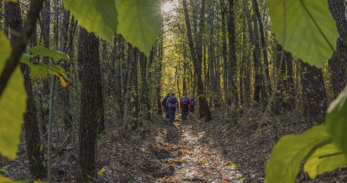 Autarquia promove caminhada solidária com Sabores d’Aldeia em Cabreiros
