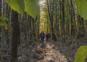 Autarquia promove caminhada solidária com Sabores d’Aldeia em Cabreiros