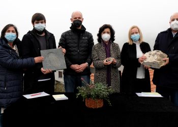 Trilobite gigante e pedras parideiras a caminho do Museu Nacional de História Natural do Rio de Janeiro