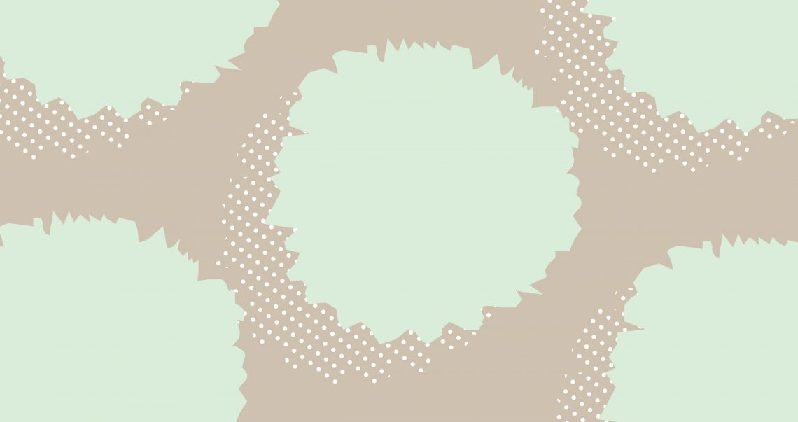 Ação “Líquenes do Arouca Geopark”