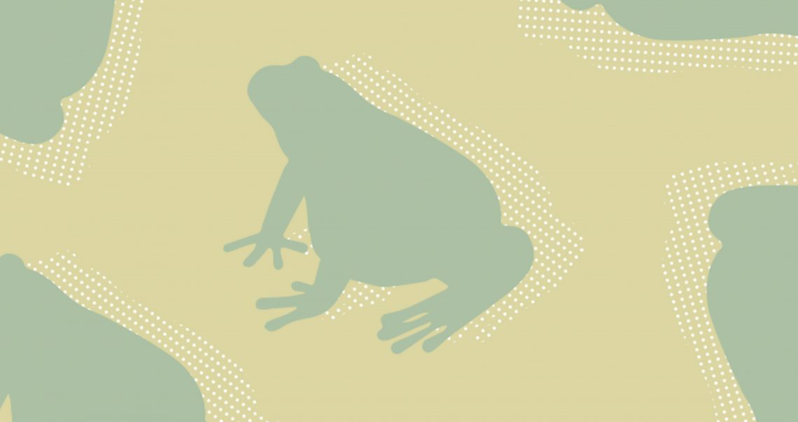 Ação “Anfíbios do Arouca Geopark”