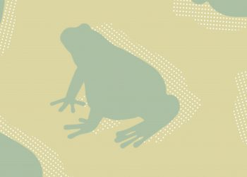 Ação “Anfíbios do Arouca Geopark”