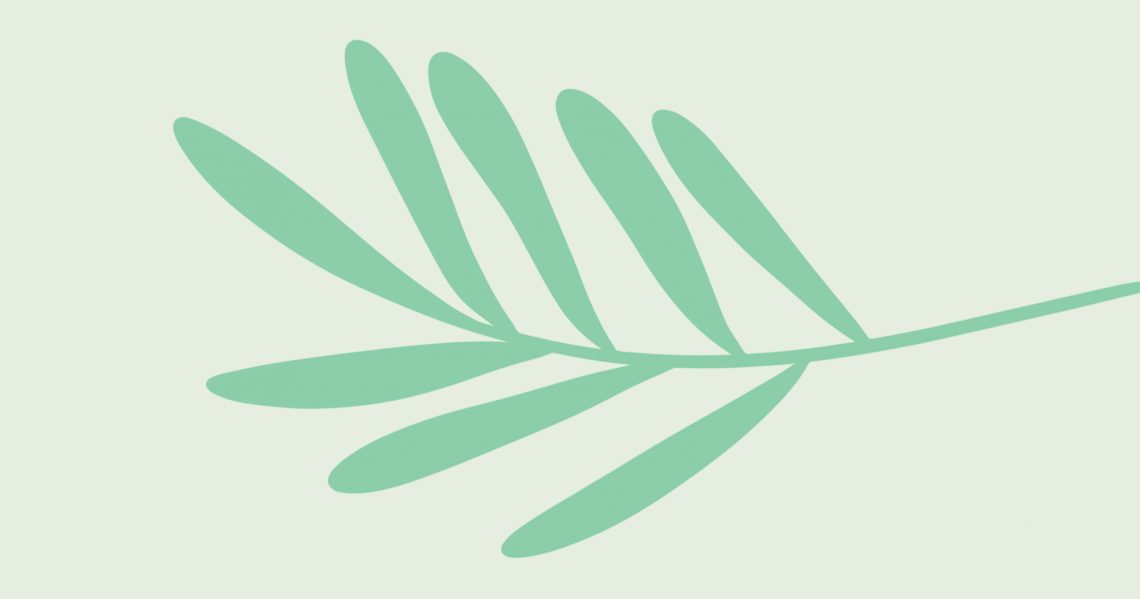 Arouca assinala Semana sobre Espécies Invasoras