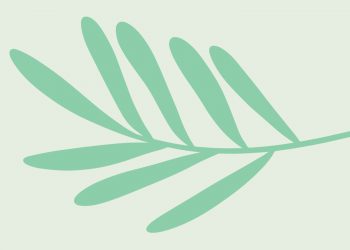 Arouca assinala Semana sobre Espécies Invasoras