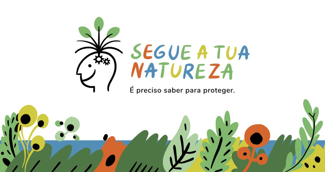 Arouca acolhe lançamento do documentário “Pico – da terra até ao céu” a 10 de junho