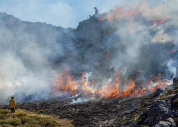 Recomendações da DGS para a exposição ao fumo de incêndios