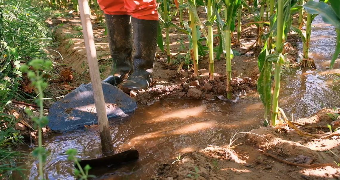 Feira das Colheitas promove debates sobre emergência climática e agricultura
