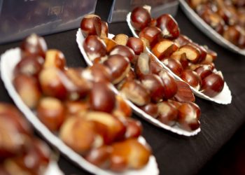 Município promove concursos para eleger melhor castanha e melhor mel