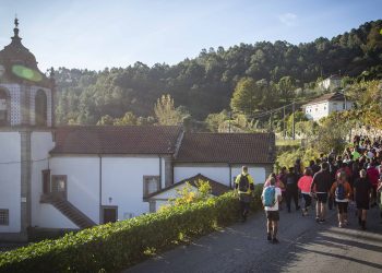 Participe na caminhada “Caminhos do Sol Nascente” durante o Festival da Castanha 2022