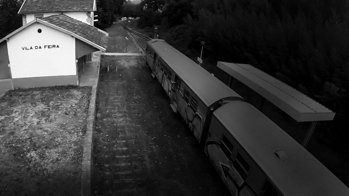 Futuro da Linha do Vouga debatido no Europarque