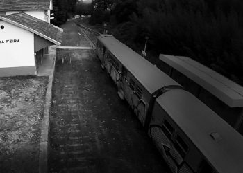 Futuro da Linha do Vouga debatido no Europarque