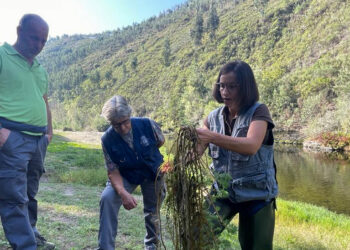 Câmara de Arouca sensibiliza colaboradores para a conservação das margens dos rios